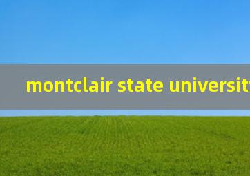 montclair state university排名